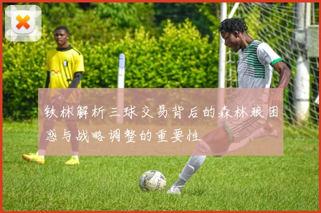 铁林解析三球交易背后的森林狼困惑与战略调整的重要性