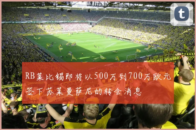 RB莱比锡即将以500万到700万欧元签下苏莱曼萨尼的转会消息