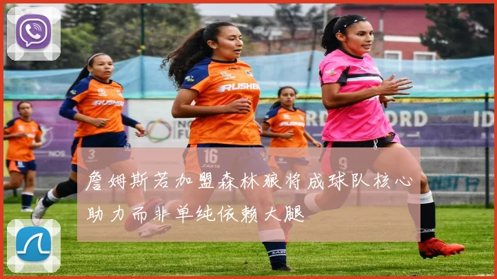 詹姆斯若加盟森林狼将成球队核心助力而非单纯依赖大腿